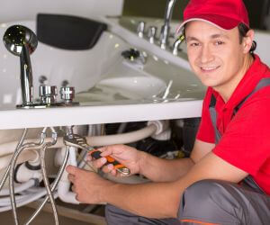 About Emergency plumbing pros Western Springs, IL
